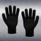 Preview: - Kopie